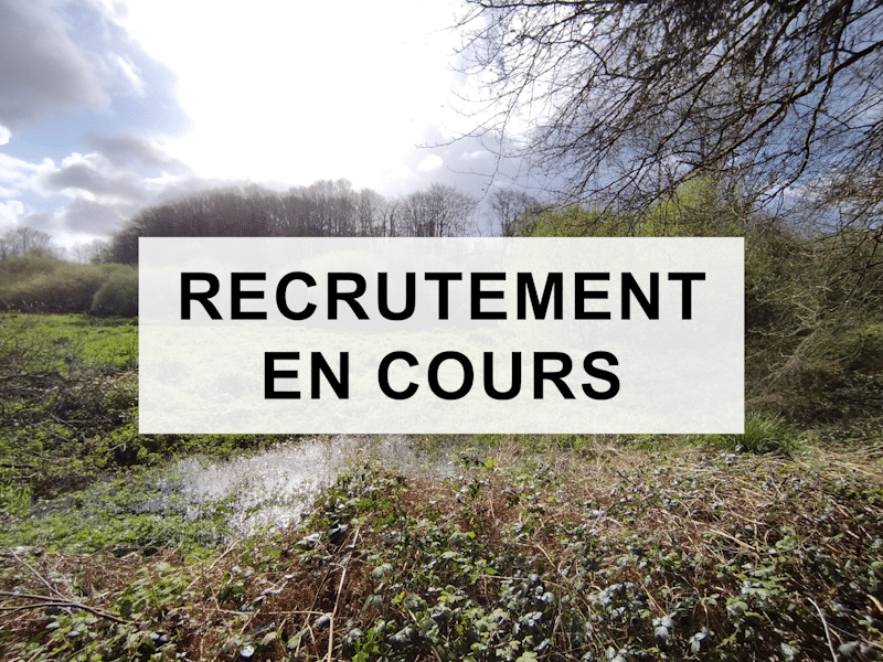 Recrutement en cours au Syndicat des Eaux du Bas-Léon