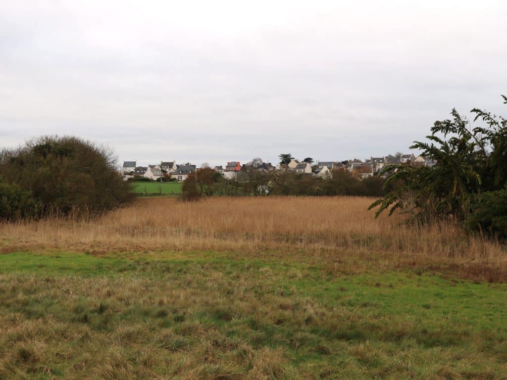 Anse de bassinig à Plouguerneau, le 12 janvier 2024