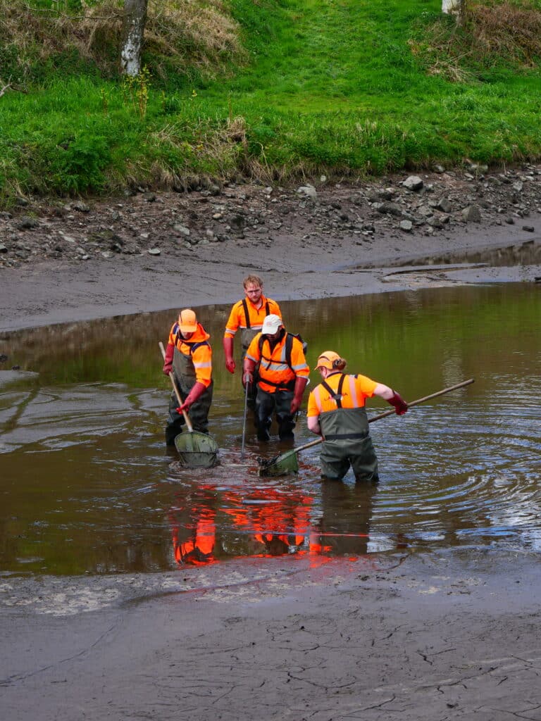 Pêche de sauvegarde aux étangs de Moulin Neuf et Baniguel